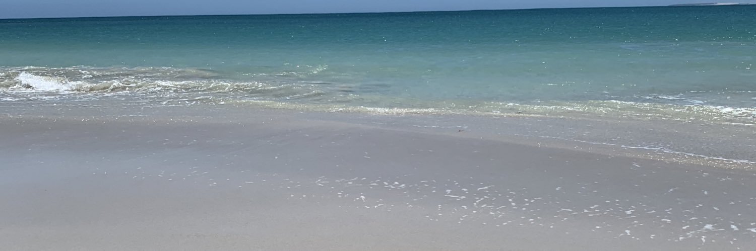 pikefish1's profile banner image