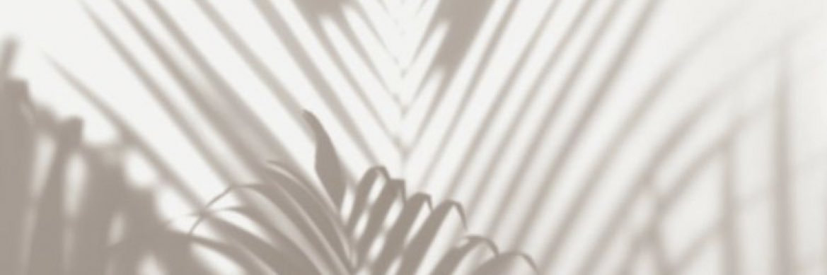 alanis110397's profile banner image