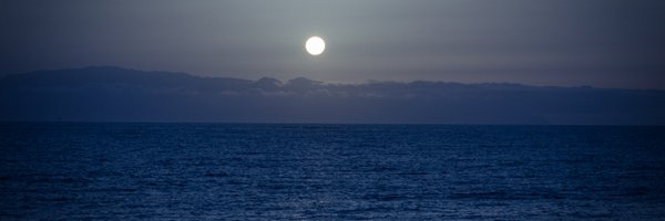 NinaSoldano Profile Banner