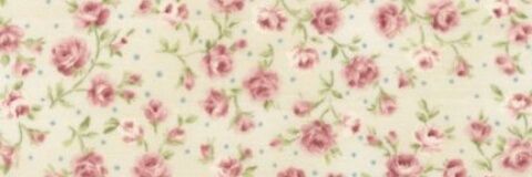 SofiFernandezG's profile banner image