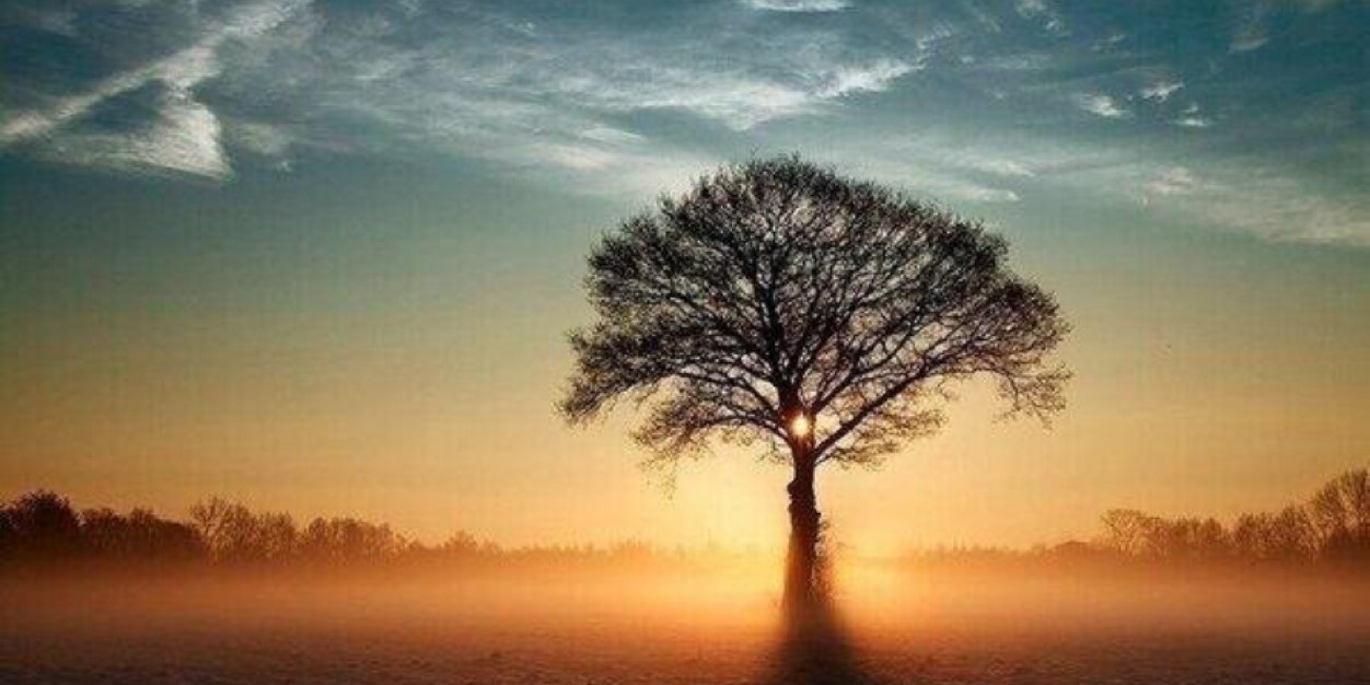 juanito_mapale's profile banner image