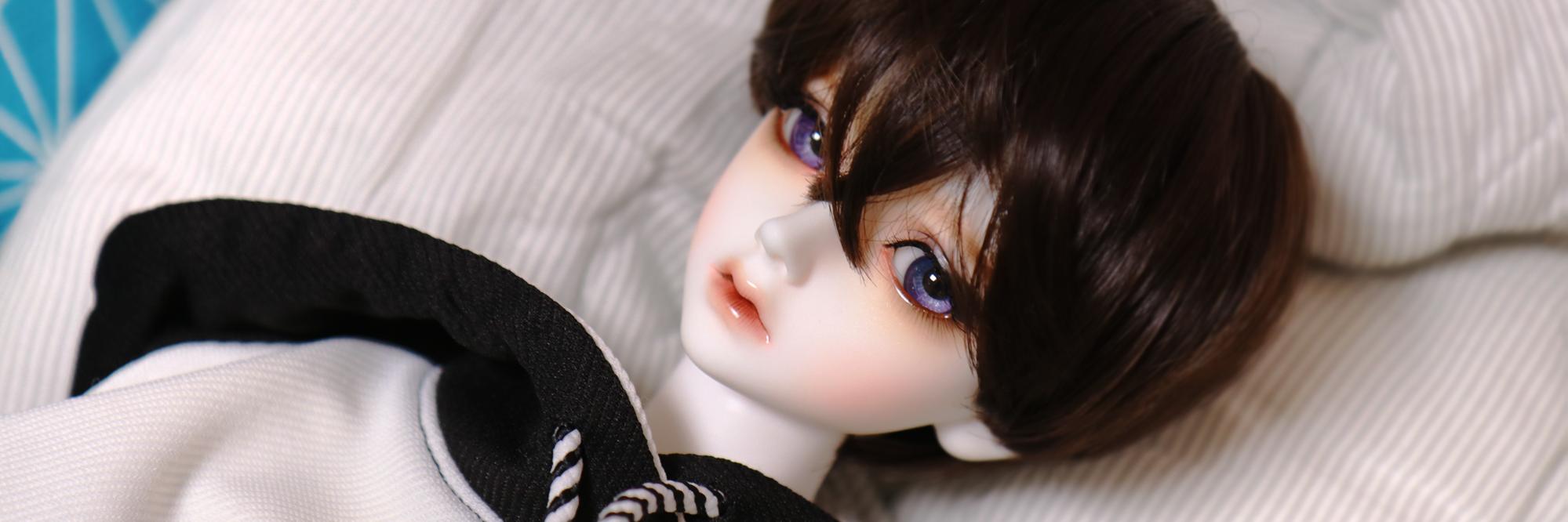 bjd_lica's profile banner image