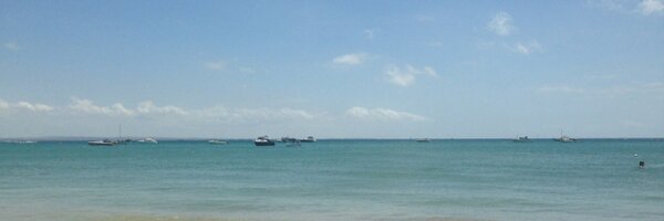 Radeksali Profile Banner