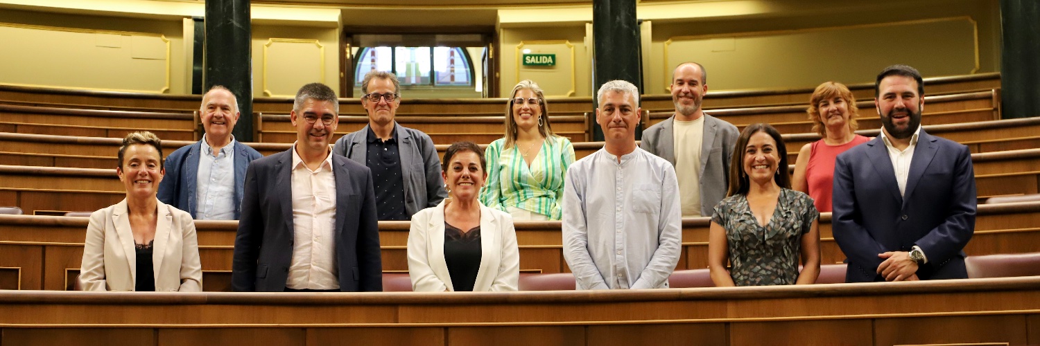 EH Bildu Congreso - Senado's banner
