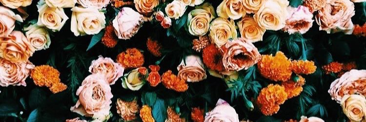 _maaarilyn's profile banner image