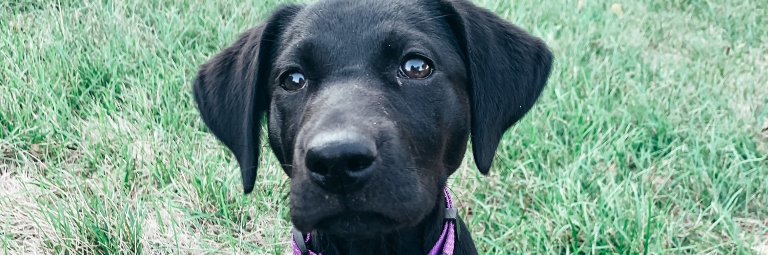 Payten_Marie2's profile banner image