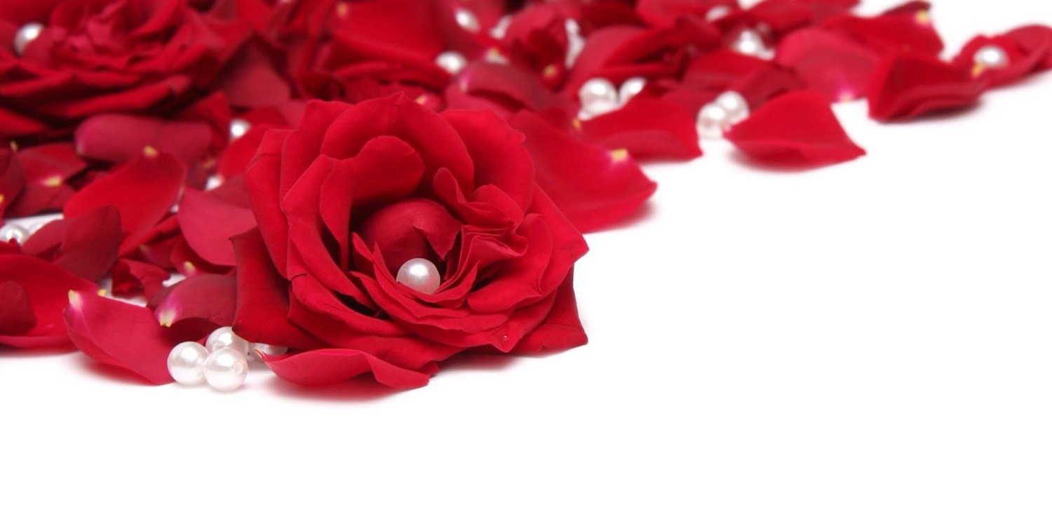 nissrinwalidgea's profile banner image