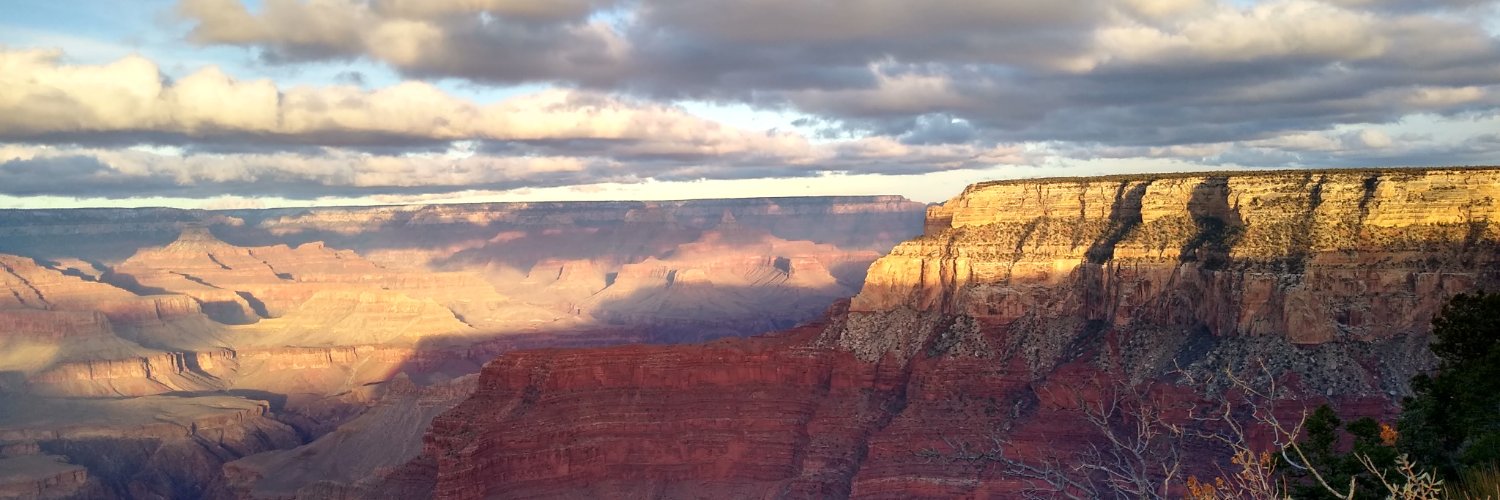 Laura D Porter, MD FASCO banner