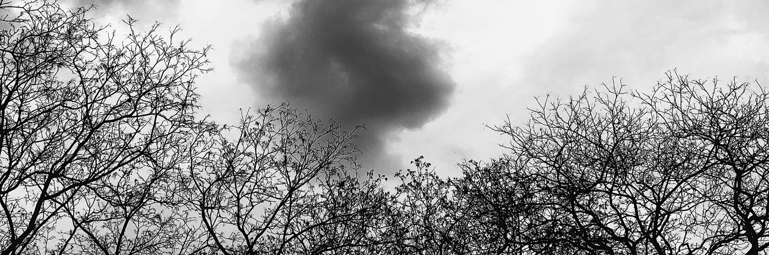 uailipe's profile banner image