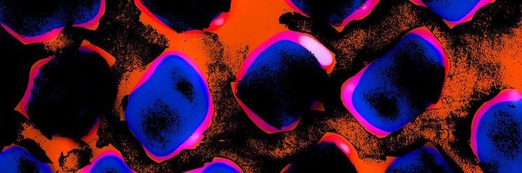 chandluh_bing's profile banner image