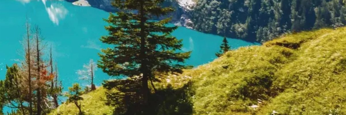 mnasqk's profile banner image