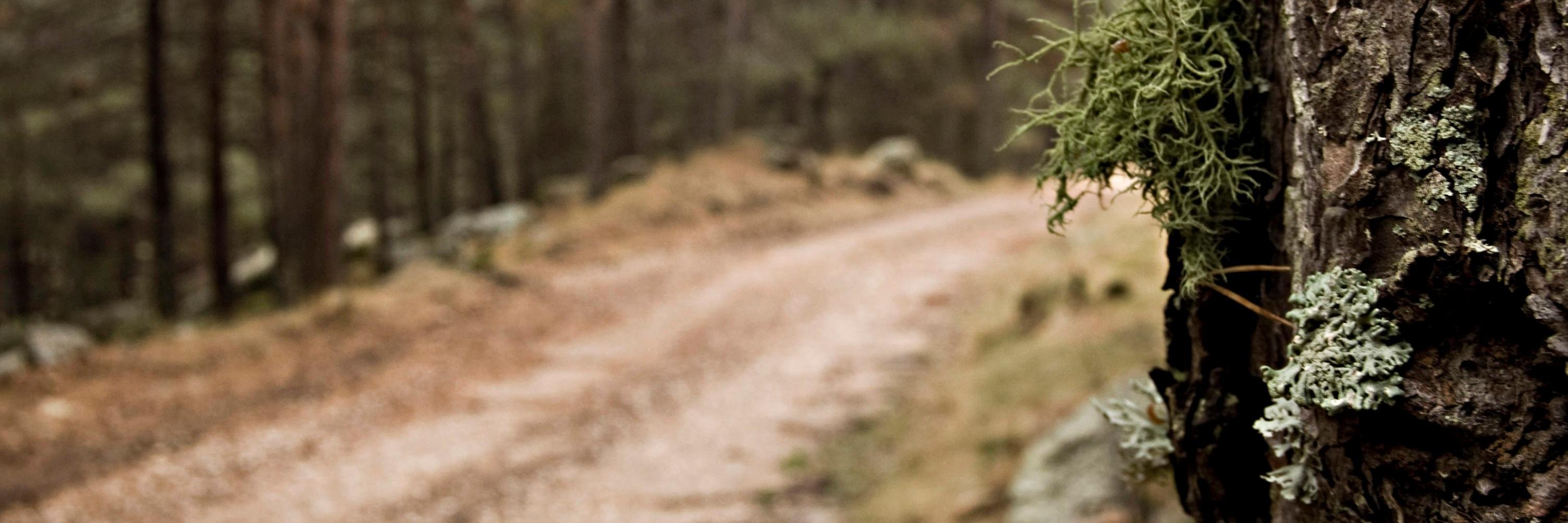 AdrianGranjo's profile banner image