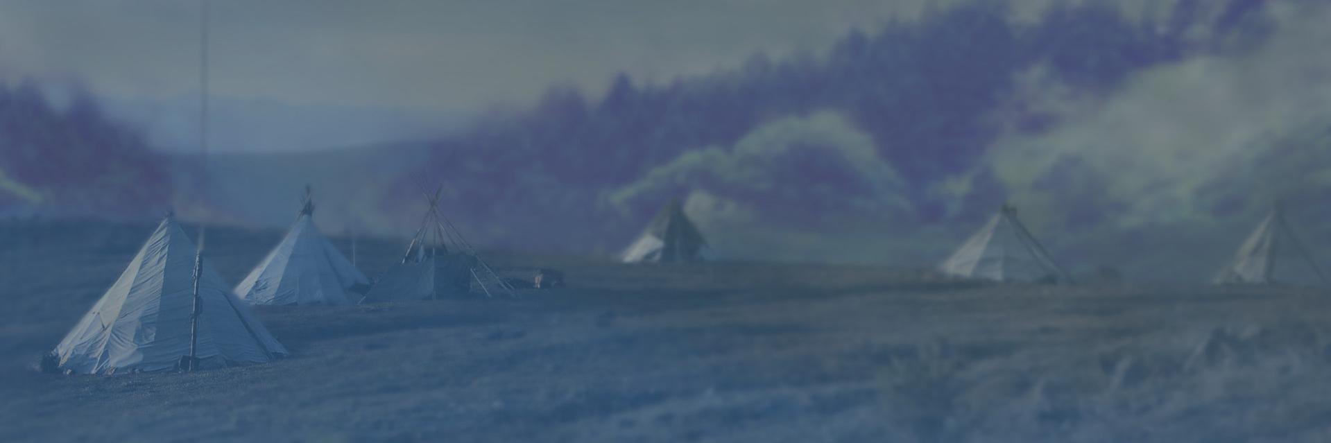 TaigaTribe's profile banner image