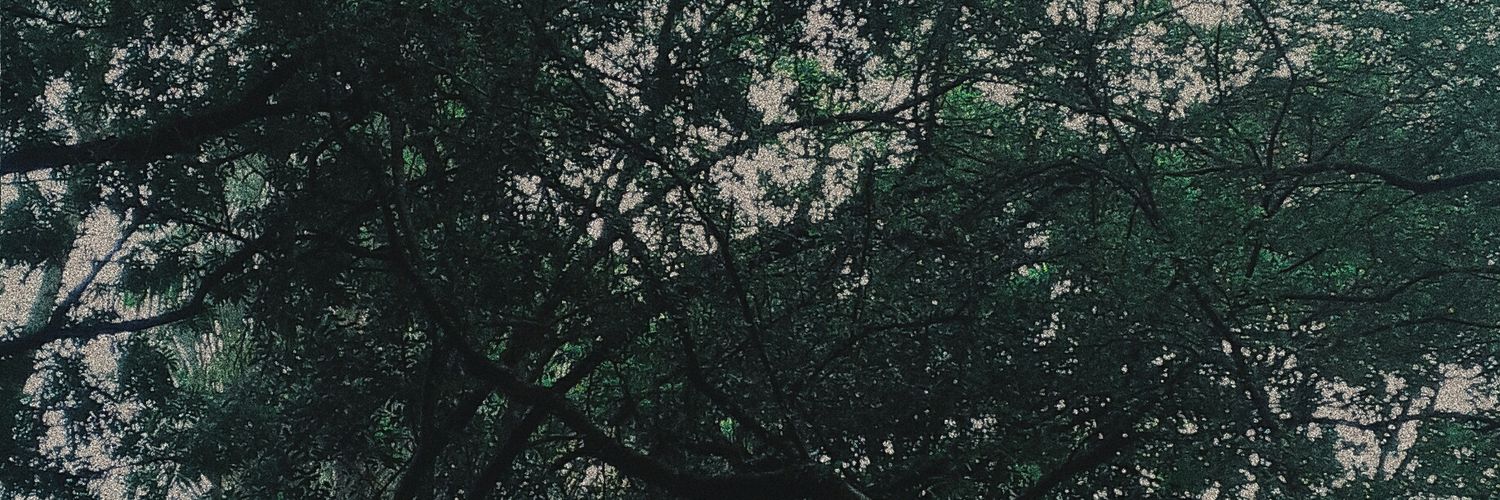 tallovescat's profile banner image