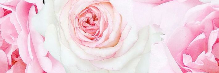 _allisoncaitlin's profile banner image