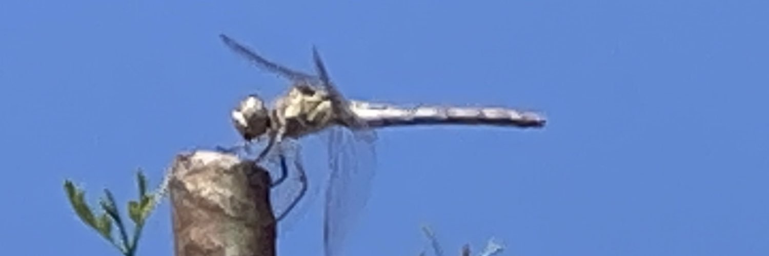 crisga11's profile banner image