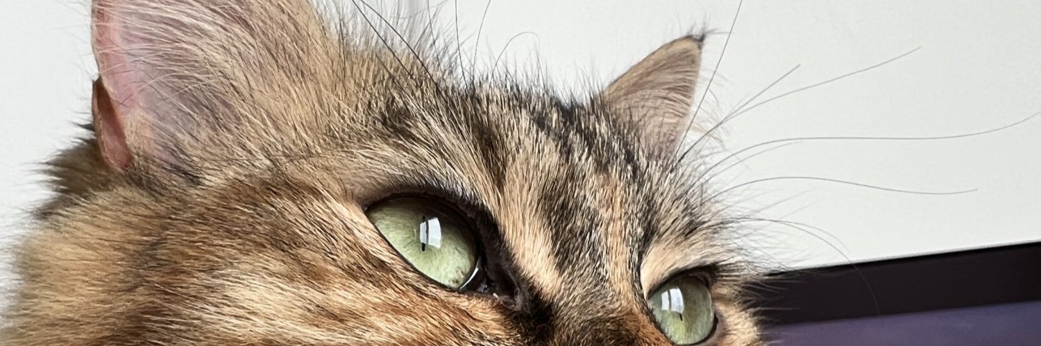 ___domitilla's profile banner image