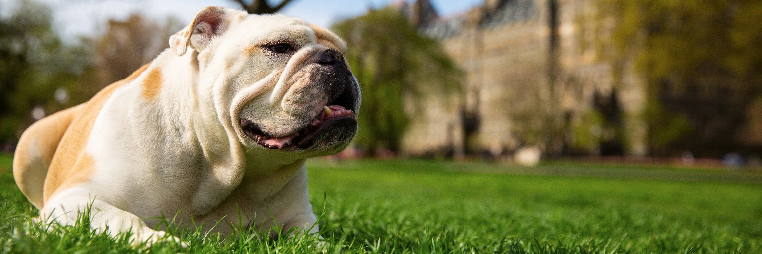 GeorgetownCSE's profile banner image