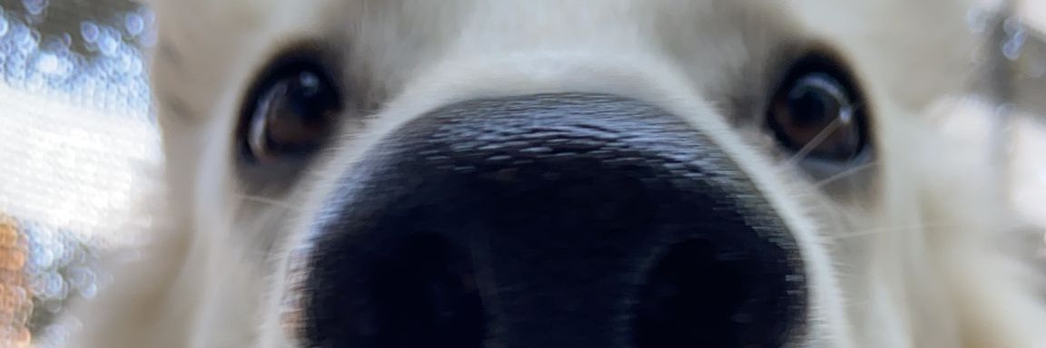 JanHalbauer's profile banner image