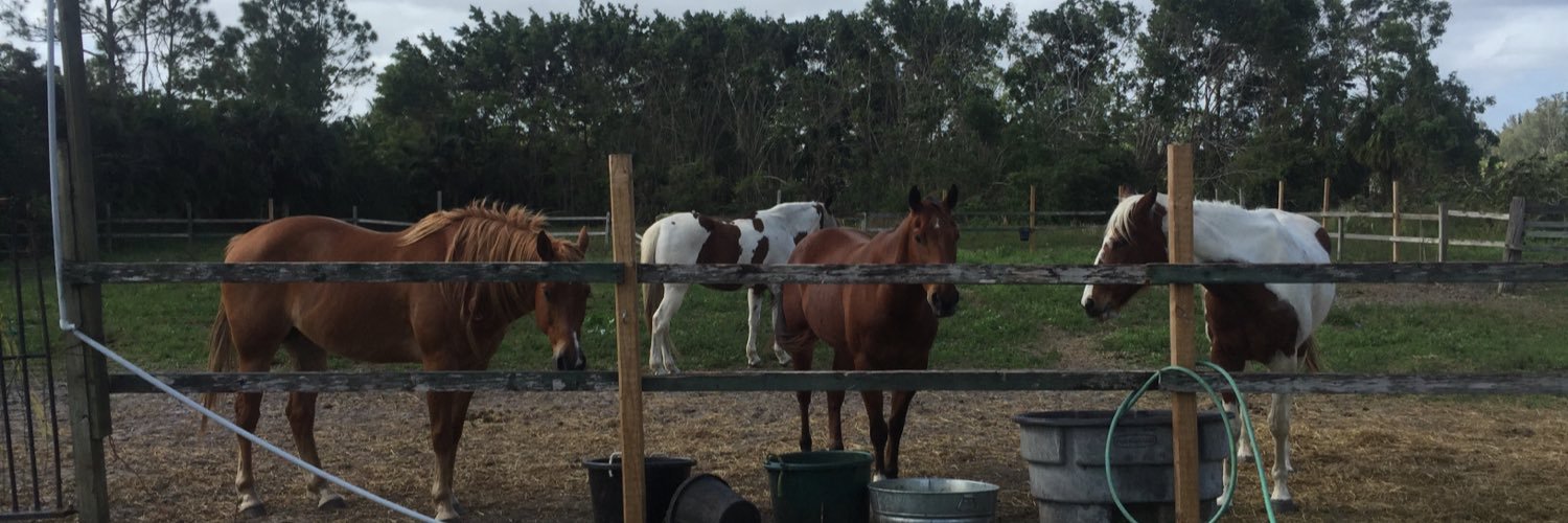Islay Rodriguez banner