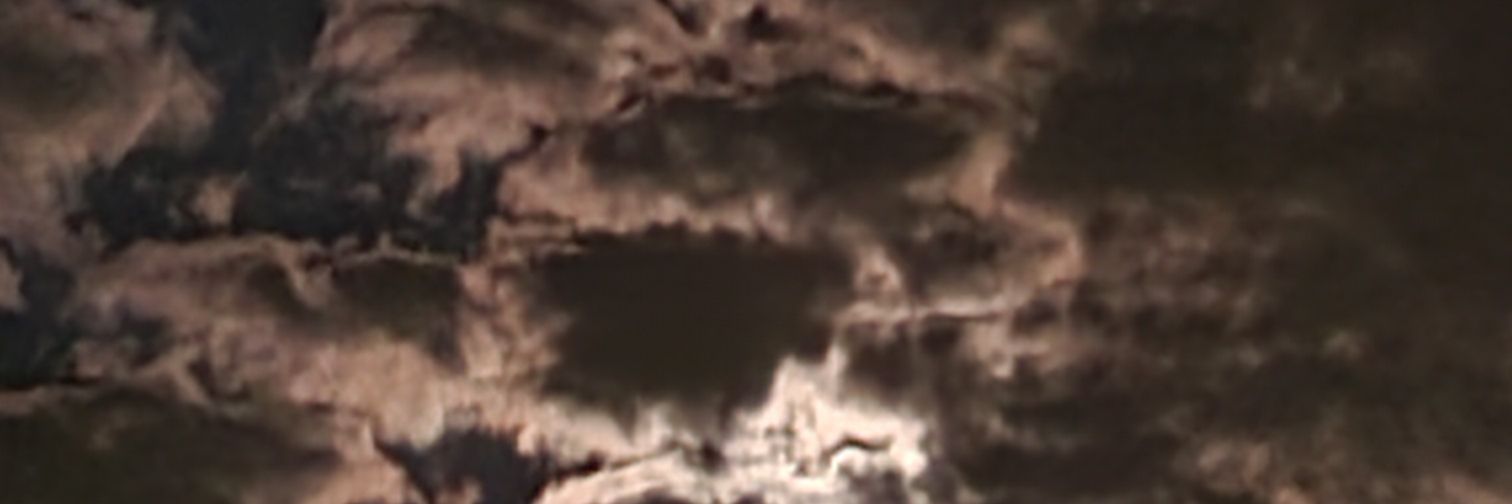 mo_wizzy_'s profile banner image
