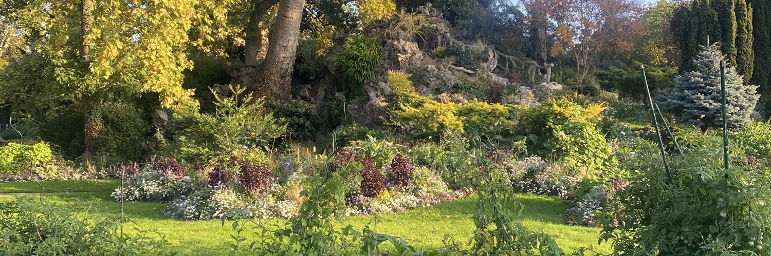 Sophie-Ch Debadier banner