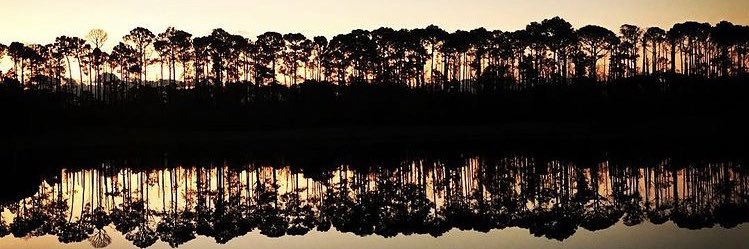 Ben__Bruns's profile banner image