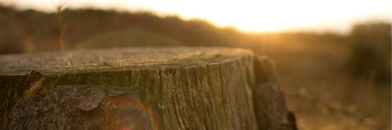 Andrew McAfee banner