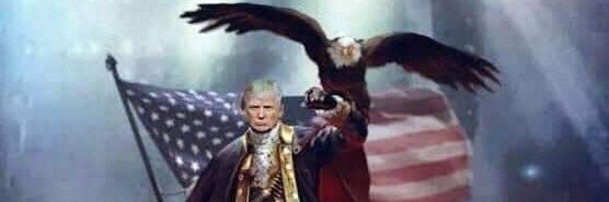true_patriots's profile banner image