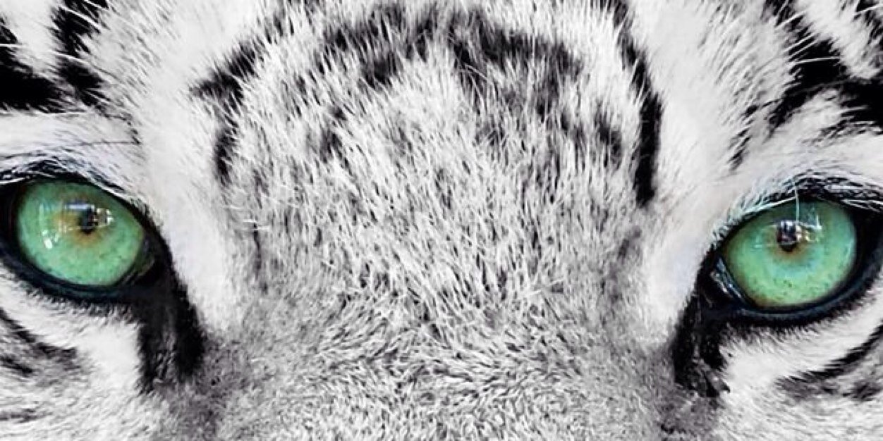 Manuel8a_21's profile banner image