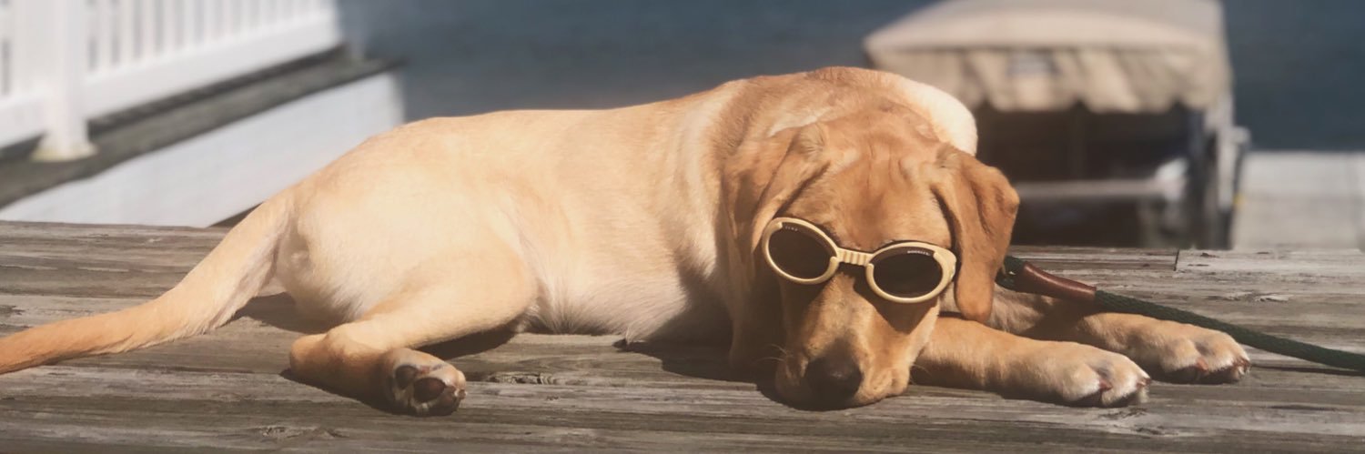 ataylor1295's profile banner image