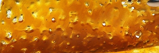 KushExpo's profile banner image