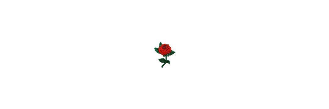 _belllaboo's profile banner image