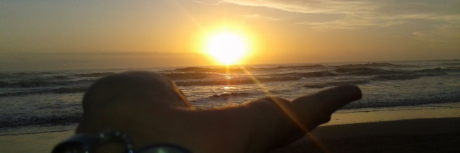 vanesitlor's profile banner image