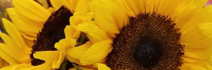 BeeMyLov's profile banner image