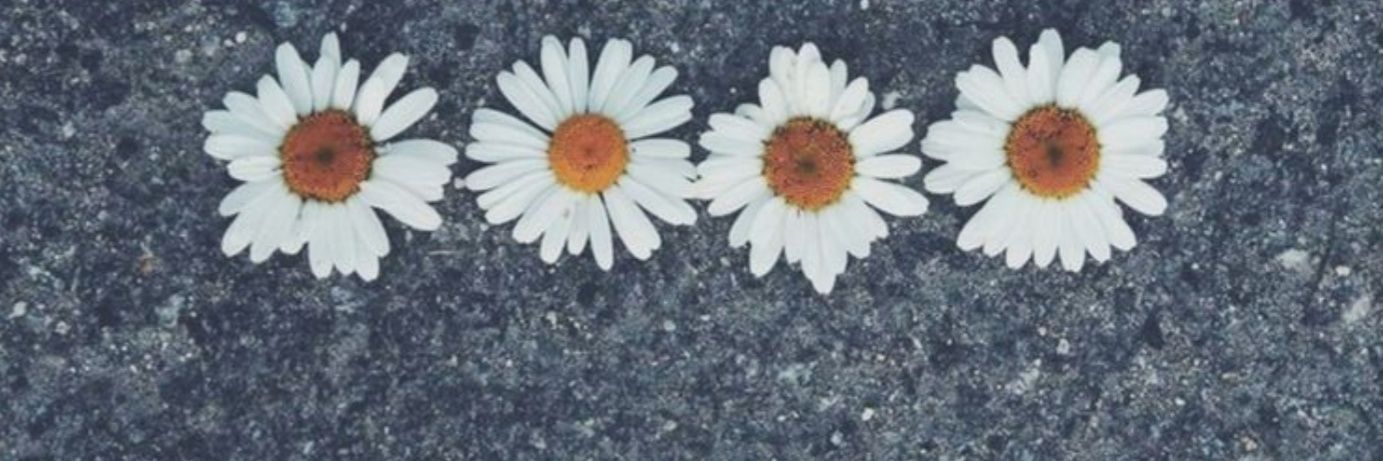 bianca_casas2's profile banner image