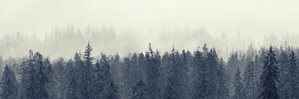 cgwin23's profile banner image