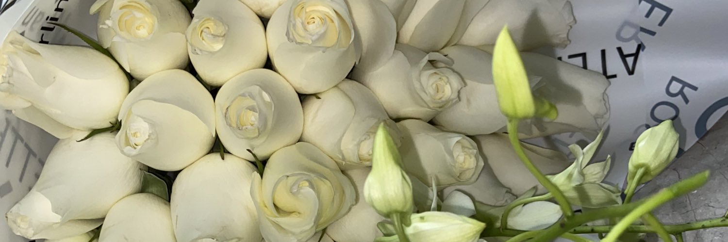 AranzaBeltran's profile banner image