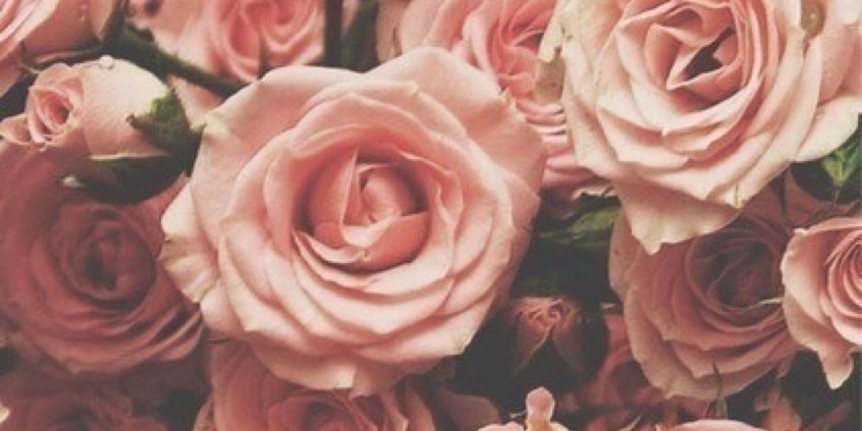 MaddesTweet's profile banner image