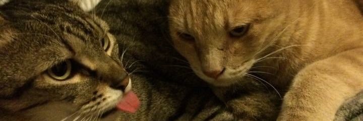 RedisFun's profile banner image