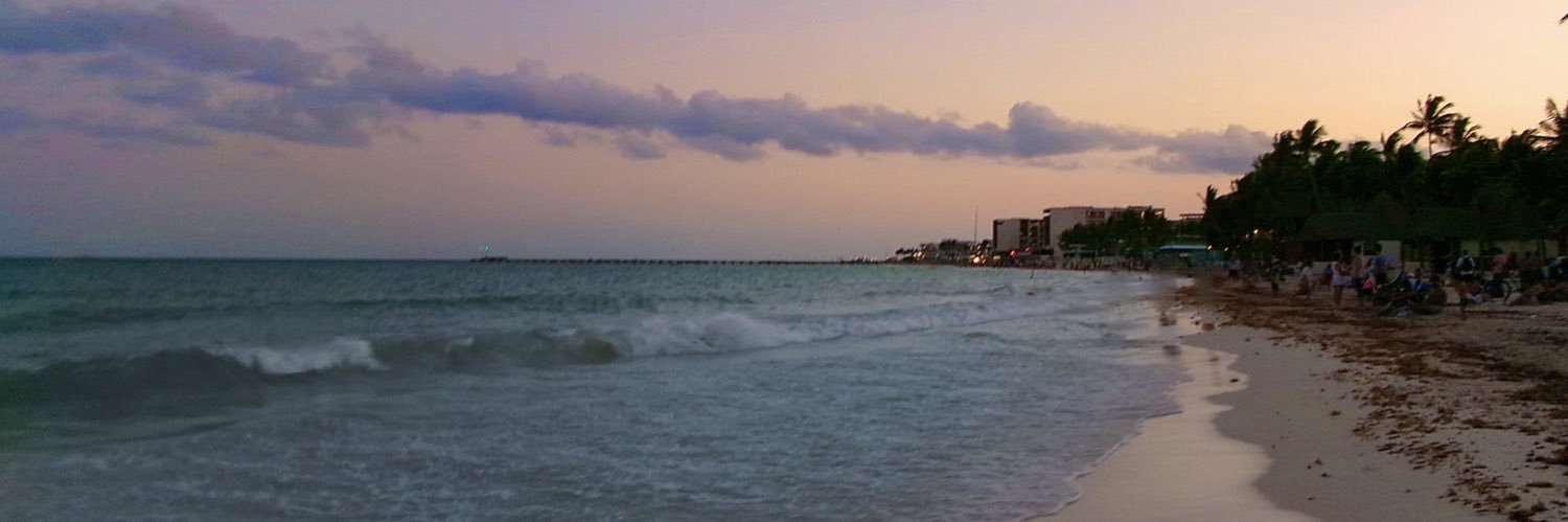 Lizzyxvee's profile banner image