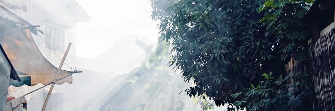 csqvl's profile banner image