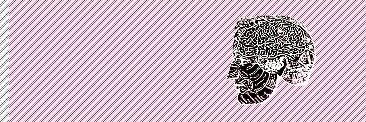 TZP_'s profile banner image
