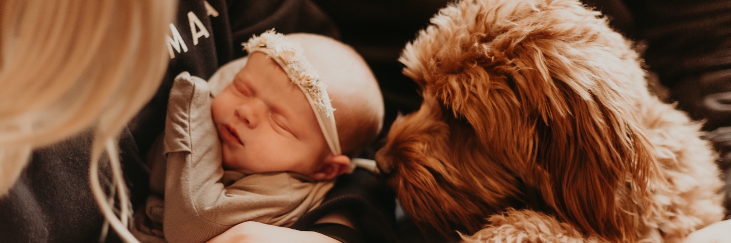_erinbeswick's profile banner image