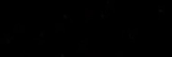 HSKISSRRY's profile banner image