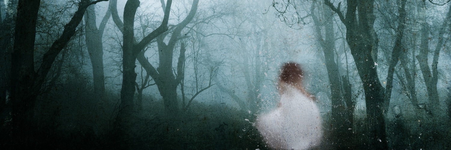 DLeeSoifer's profile banner image