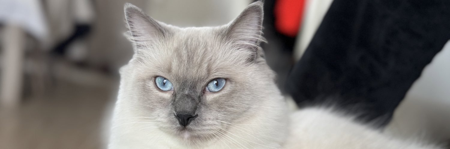 _CatherineFrn's profile banner image