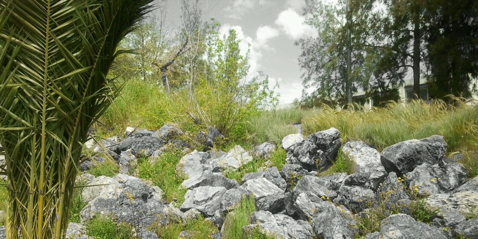 cbecerra2's profile banner image