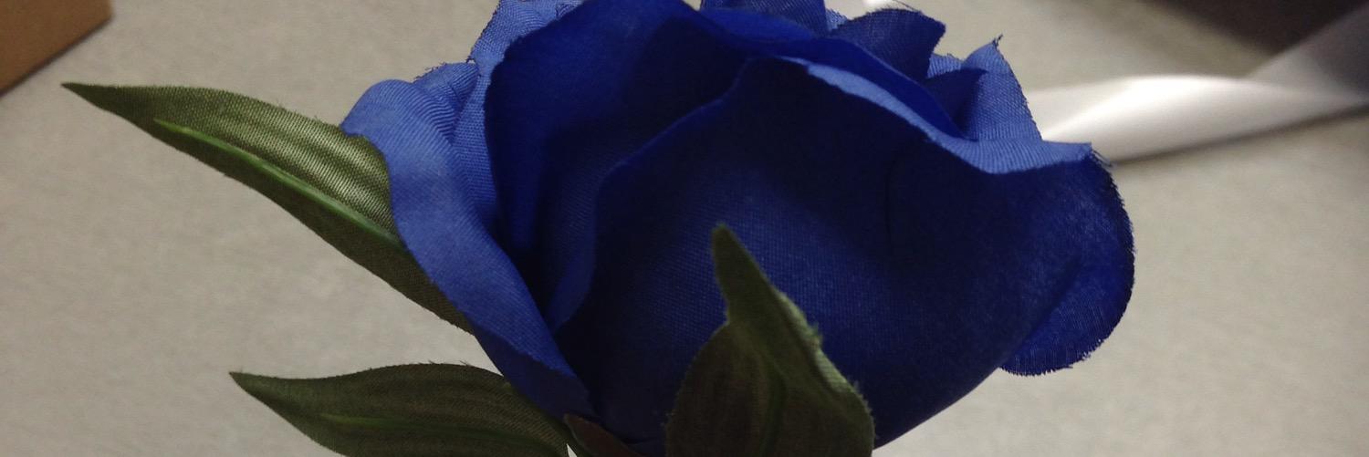 Flower1Wildrose's profile banner image