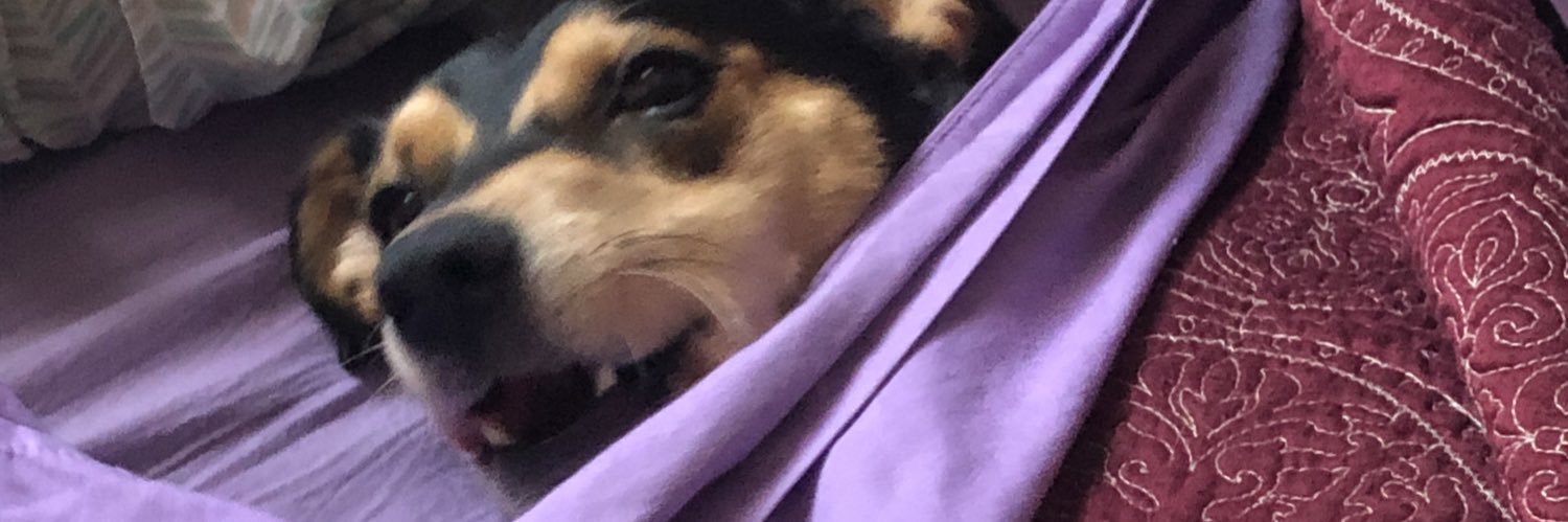 viiperfang's profile banner image